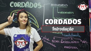 Cordados  Introdução 🐵📚 [upl. by Amabel726]