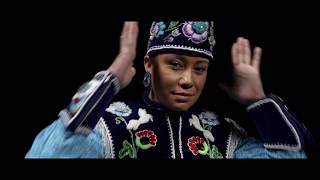 DJ Shub  Calling All Dancers Official Music Video [upl. by Vanessa]