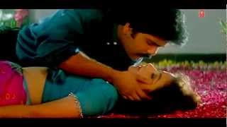 Tum Mile Dil Khile or jenay  mp4 [upl. by Akerdnuhs]