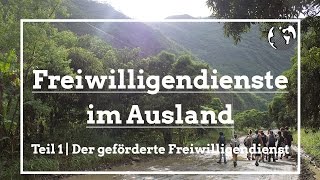 Freiwilligendienste im Ausland  Freiwilligenarbeitde [upl. by Asamot]