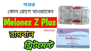 পশুর কোন রোগে খাওয়াবেন Melonex Z plus Vet bolus  Melonex Z plus Veterinary bolus use in Bangla [upl. by Krum]