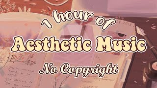 1 hour of Aesthetic Music  No Copyright [upl. by Anauqaj]