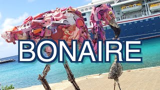 Bonaire Island Trip Report with Travel Tips Part I [upl. by Nwonknu]