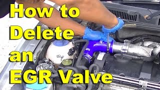 How to Delete an EGR Valve with a delete kit [upl. by Yran]