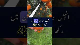 Hazrat fatimah ka nikah ho gaya to Hazrat Ali nay amazing viral youtubeshorts [upl. by Lledniuq407]