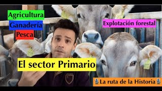 Tema 63ºESO🧑‍🌾 El sector primario 🚜 g🚜 Agricultura🌾 ganadería 🐐 pesca🐟y🌲GEOGRAFÍA [upl. by Leirrad]