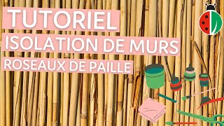 TUTORIEL  Isolation de vos murs grâce aux roseaux de paille [upl. by Cathey]