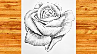 How to draw a realistic RosePencil Sketch [upl. by Ytissac934]