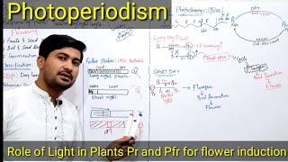 Photoperiodism class 12  photoperiodism in plants  Role of Phytochromes in plants flowering [upl. by Nerita]