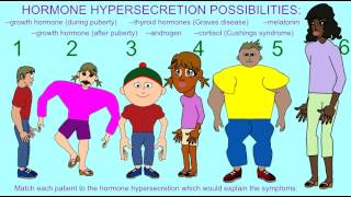 ENDOCRINE SYSTEM EFFECTS OF THE HYPERSECRETION OF HORMONES [upl. by Gauthier398]