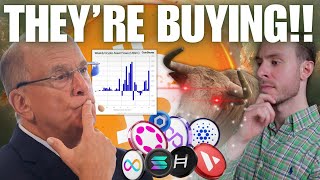 PROOF Institutions Are Buying The Dip THEY WANT YOUR CRYPTO Next Leg For Crypto Is Coming [upl. by Sirmons306]