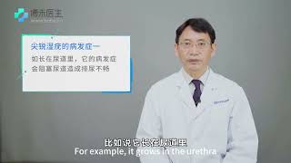 尖锐湿疣的并发症What are the complications of condyloma acuminatum [upl. by Lydnek]