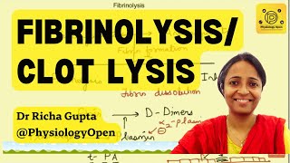 Fibrinolysis clot lysis mechanism  Hematology  Blood physiology MBBS 1st year lecture [upl. by Yrovi]