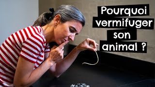 Pourquoi vermifuger son animal [upl. by Yknarf]