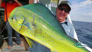 Offshore Fishing in Mazatlan Mexico [upl. by Anaugal]