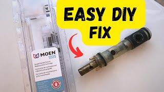 How to Replace a Moen Shower Valve Cartridge 1225 [upl. by Christianna]