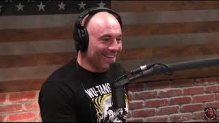 Jake the Snake impersonates Macho Man Randy Savage On Joe Rogan Podcase [upl. by Fiertz]