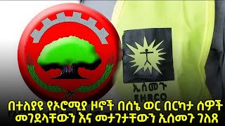 በተለያዩ የኦሮሚያ ዞኖች በሰኔ ወር በርካታ ሰዎች መገደላቸውን እና መታገታቸውን ኢሰመጉ ገለጸ zehabesha ethiopian fetadaily ዜና [upl. by Ihel]