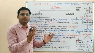 Anti Adrenergic Drugs Part 01 Adrenergic Receptor Blocker  Sympatholytic Drugs  Pharmacology [upl. by Aiekam]