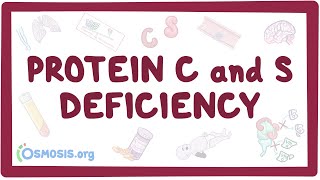 Protein C and S deficiency  causes symptoms diagnosis treatment pathology [upl. by Rolfston195]