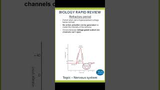 Refractory period alevelbiology nervoussystem actionpotential biology [upl. by Phelia]