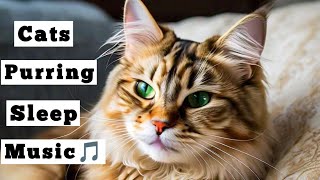 Cat Purring Sound Effect  Cats Purring Sleep Music  Cat Soothing Music With Purring [upl. by Aneerbas187]