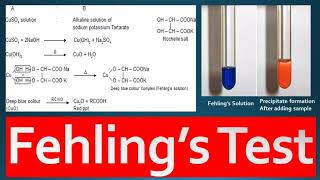 Fehlings Test Principle Procedure and Reagent Preparation [upl. by Zola]