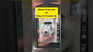 iPhone 13 Pro vs Sony A7 III Best Camera Shootout amp Photo Quality Test  iphone13Pro sonya7iii [upl. by Etennaej]