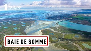 La Baie de Somme  Lestuaire des phoques 🦭  1000 Pays en un  Documentaire Voyage  MG [upl. by Toulon]