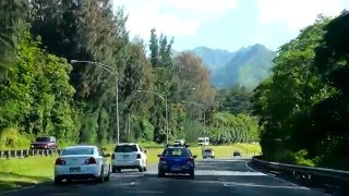 Pali Highway morning drive scenic mountains tall trees [upl. by Oluas931]