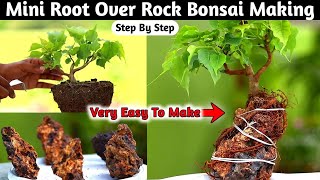 Root Over Rock Mini Bonsai Make At Home [upl. by Block585]