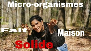 comment faire de microorganismes pour le potager et jardin [upl. by Maudie]