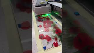 Behind The Scenes  Printing Glass Splashbacks [upl. by Pollitt]