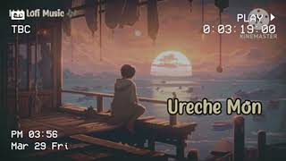 Ureche Mon Bengali song SlowedReverb  ByNM Lofi Music 🎶 [upl. by Trinity]