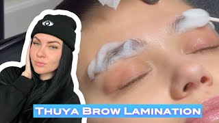 Thuya Brow Lamination steps [upl. by Gracie]