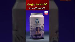 మూత్రం మురుగు నీటి నుంచి బీర్‌ తయారీ telugupost beer urine singapore [upl. by Crowe219]