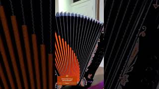 accordion acordeon norteñas [upl. by Lehman]