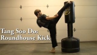 Tang Soo Do Roundhouse Kick Tutorial [upl. by Ecila686]