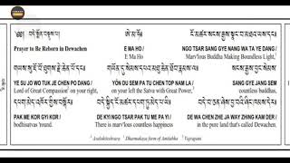 Short Dewachen Monlam  prayer for Rebirth in Pureland Tibetan Buddhism [upl. by Ellissa751]