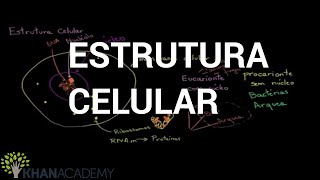 Estrutura Celular  Biologia  Khan Academy [upl. by Dorin474]