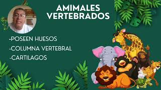 Animales vertebrados e invertebrados [upl. by Seavir]