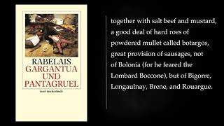 13 GARGANTUA AND PANTAGRUEL by Rabelais Audiobook  full length free [upl. by Garbe]