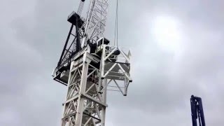 Climbing Tower Crane  External  Faco Favelle [upl. by Rici793]