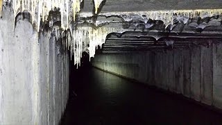 » GEOCACHING «  Knietief im Dreck und überall Spinnen  12  Deutsch HD MOONDYE7 [upl. by Idieh]