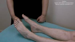 Muscle Testing  Extensor hallucis longus [upl. by Mixie]