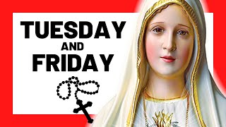 THE SORROWFUL MYSTERIES TODAY HOLY ROSARY TUESDAY amp FRIDAY  THE HOLY ROSARY TUESDAY amp FRIDAY [upl. by Airal]