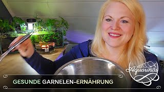 DIYFutter amp Industrieprodukte für Garnelen – Was ist wirklich sinnvoll 🌿🥫🏭🦐🤔  Aquarinas Erfahrung [upl. by Trocki590]