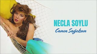 Necla Soylu  Kahır Mektubu Official Audio [upl. by Alra]