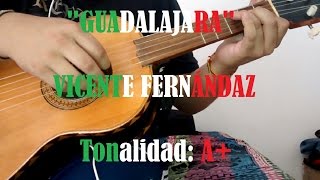 Guadalajara  Vicente Fernández  Cover Vihuela [upl. by Icyak]