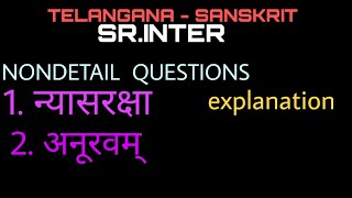 ts inter 2nd year SANSKRIT NONDETAIL QUESTIONS anuravam questions nyasaraksha questions [upl. by Attelrak779]